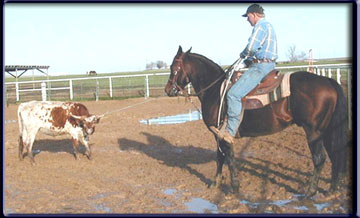 Amigo - King, Wimpy, Poco Bueno right on his papers