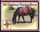 Click here for Mi Optimo Amigo Poco (Poco Bueno grandson, Wimpy great grandson), Foundation Quarter Horses at their best!