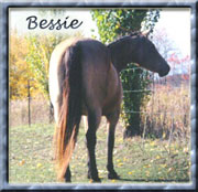 Bessie